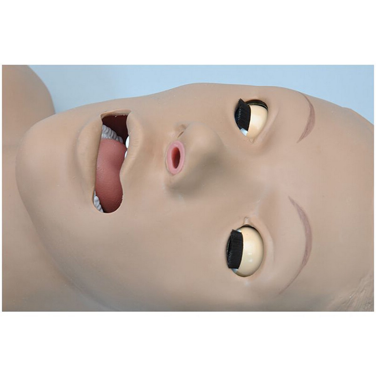 Simon S308 – Torso de Entrenamiento en RCP Código: GM308 - Imagen 2